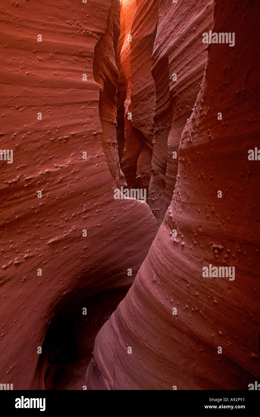 Spooky Gulch Grand Staircase-Escalante National Monument, Utah, USA Banque D'Images