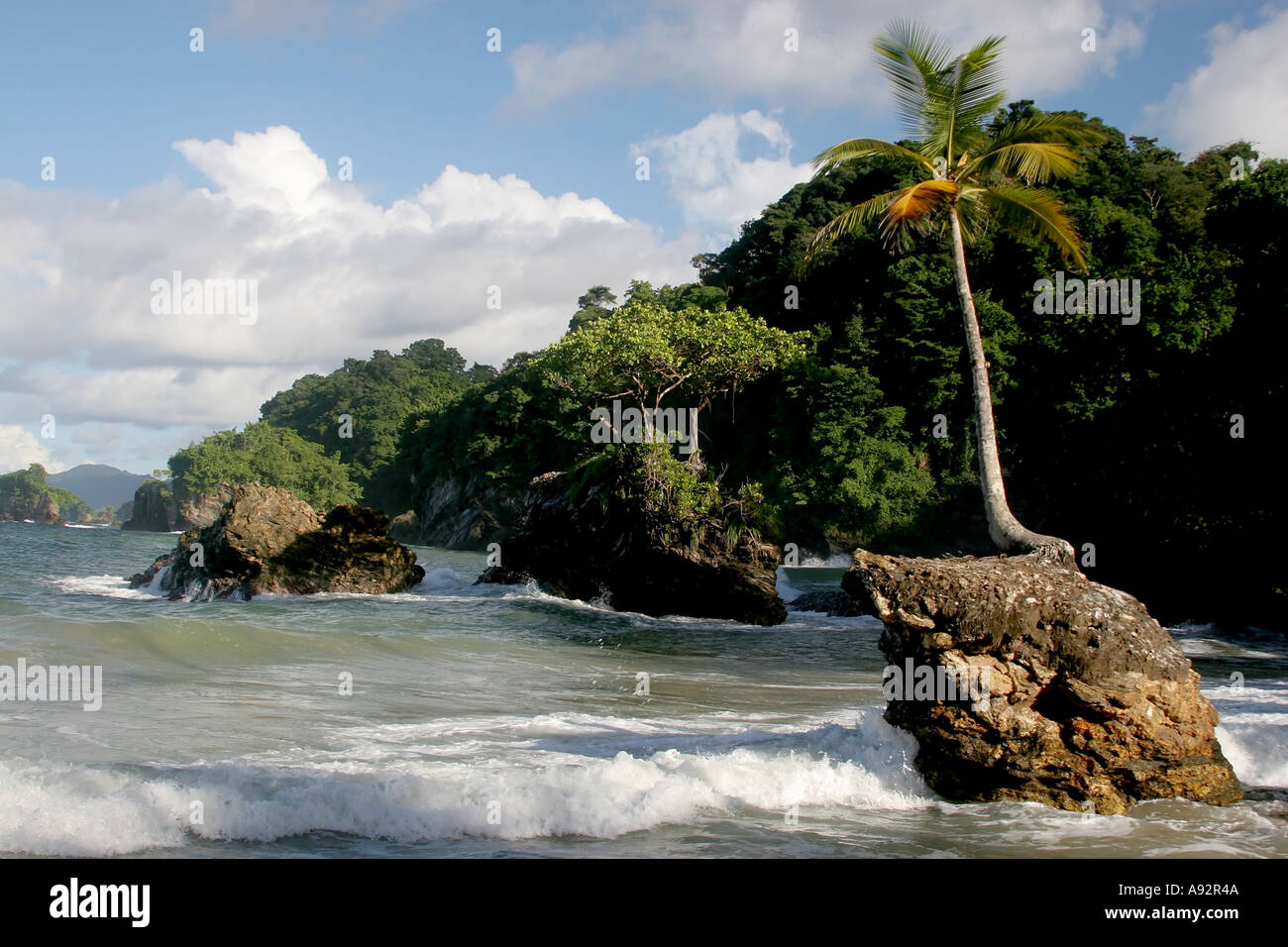 Un peu envahis par les falaises et une petite île au large de la Trinité-West Indies Banque D'Images