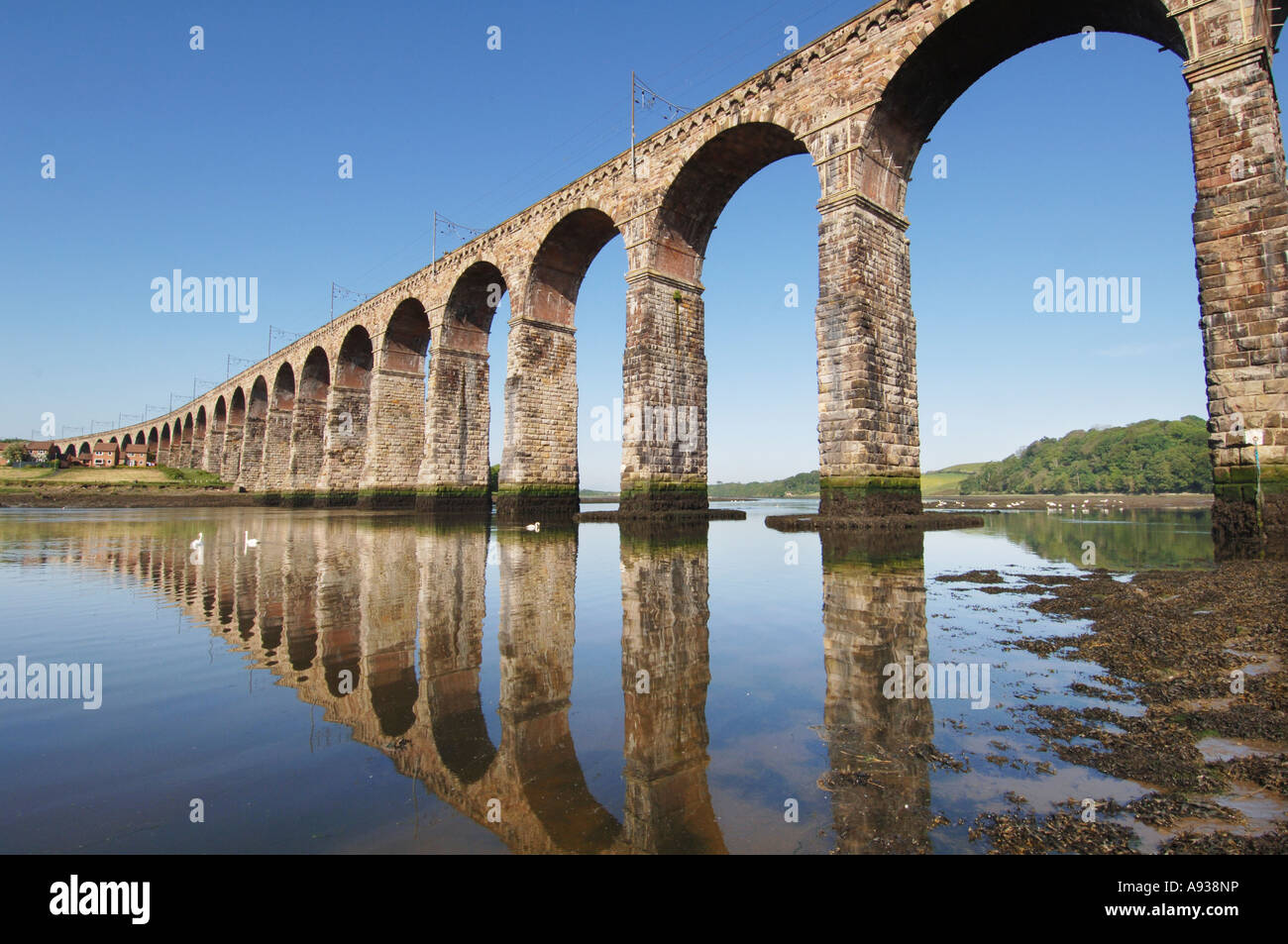 Le pont frontière Royale à Berwick upon Tweed qui porte gner et Virgin Trains Banque D'Images