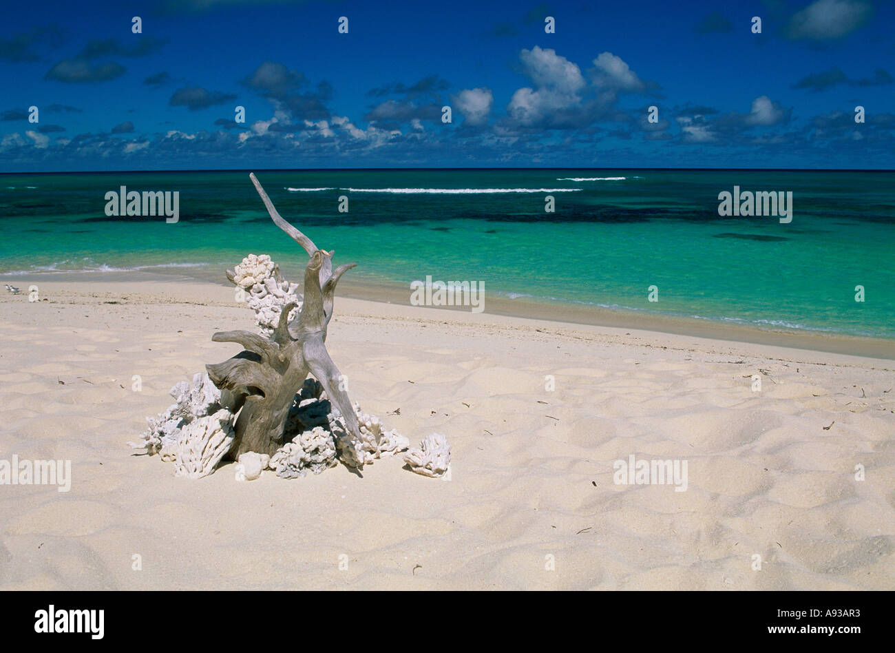 Denis Island Seychelles Banque D'Images