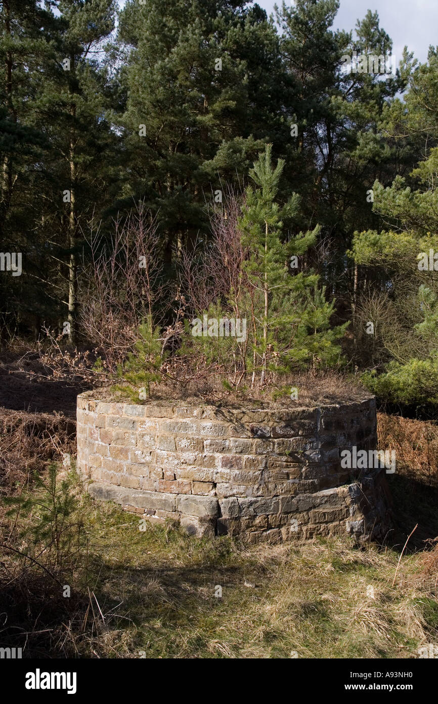 Puits de mine plafonné plaqués consulte mes Forêt de Dean England UK Banque D'Images