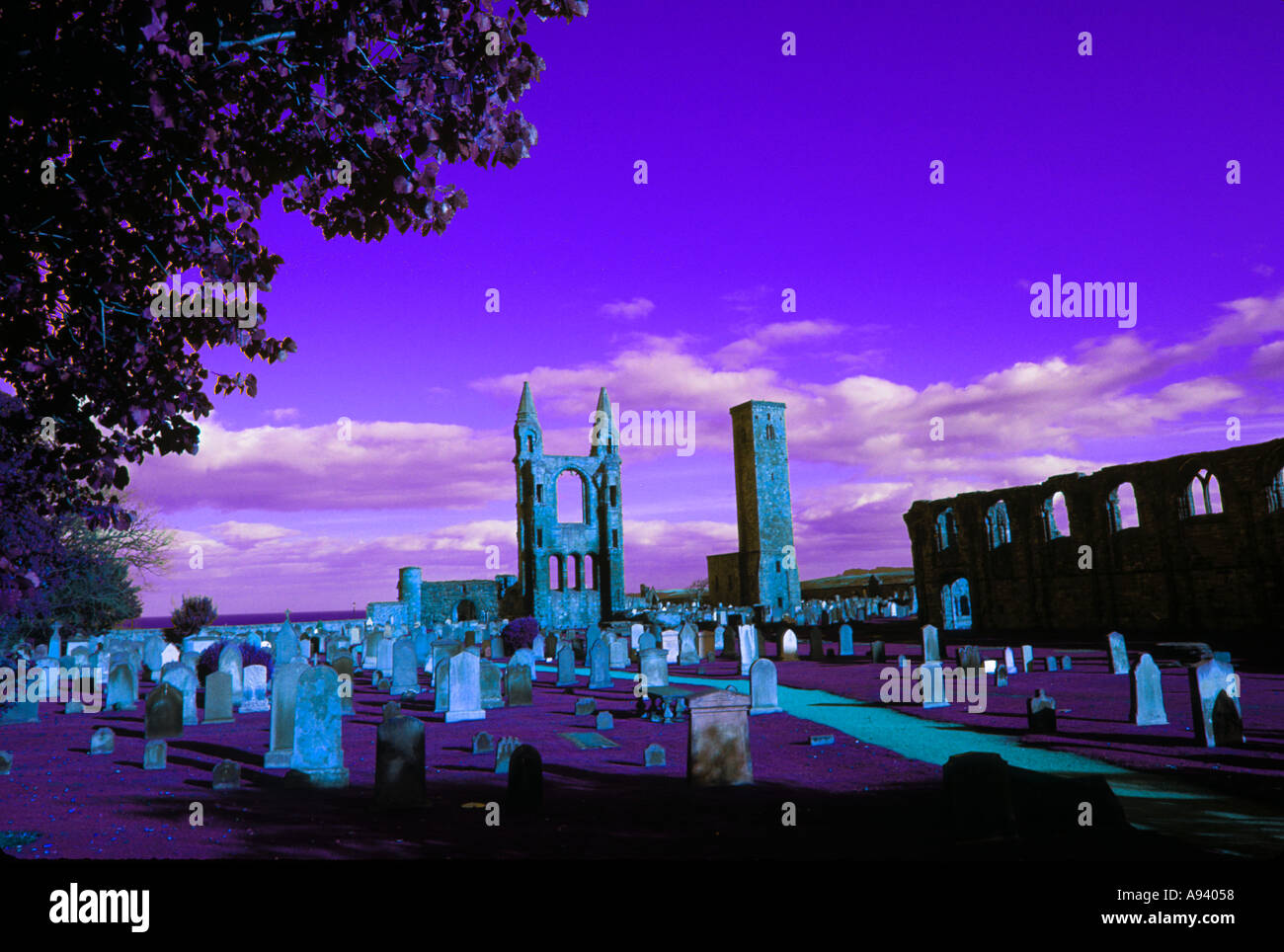 Cimetière de la cathédrale de St Andrews en Ecosse Banque D'Images