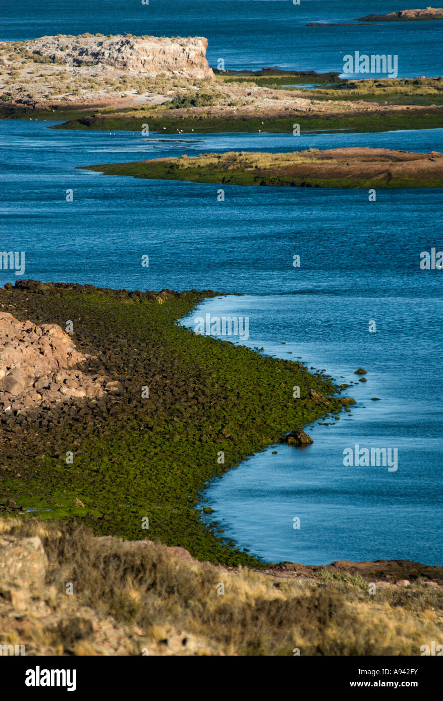 Ria Puerto Deseado, Patagonie, Province de Santa Cruz, Argentine Banque D'Images