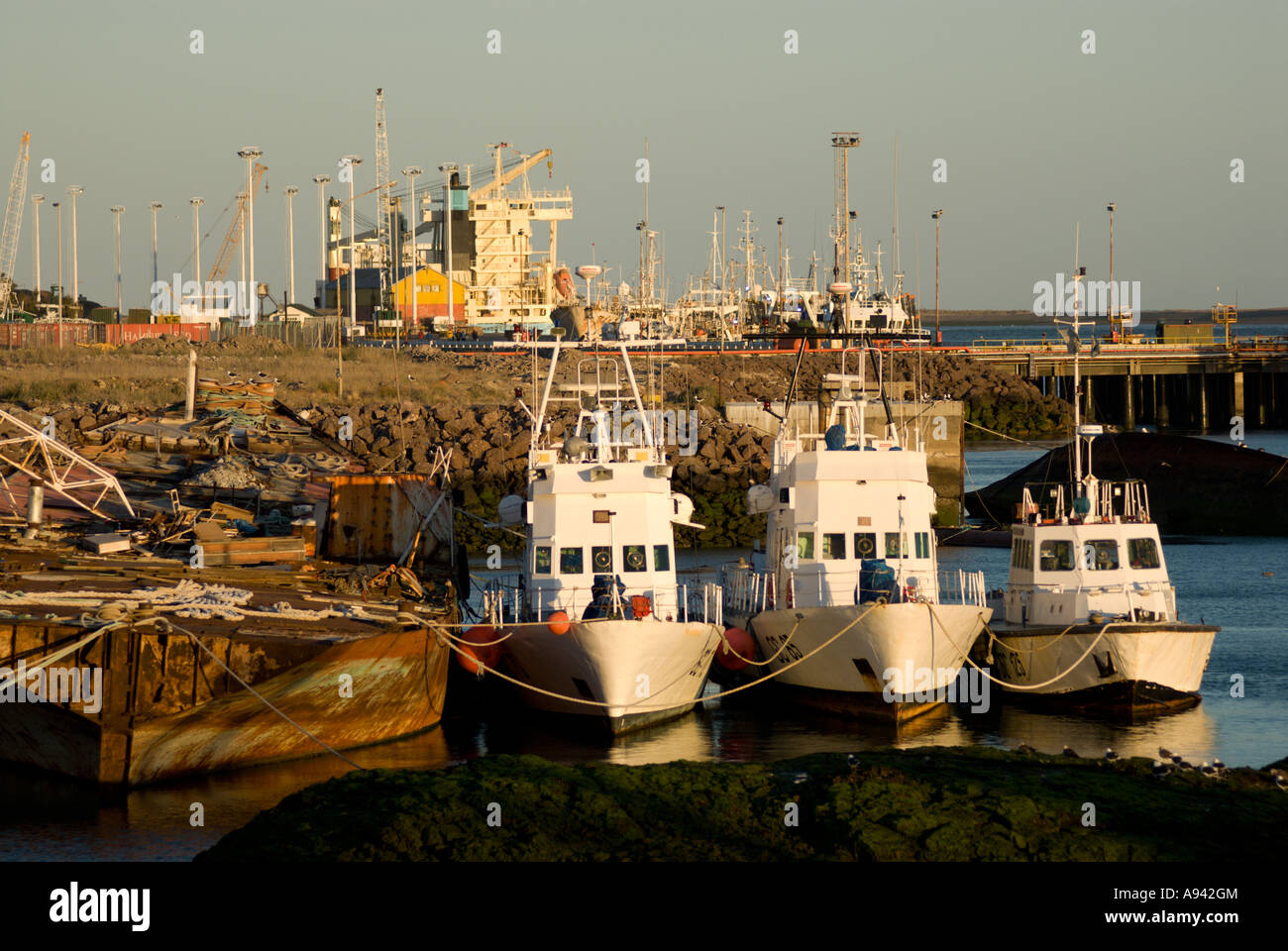 Port de Puerto Deseado, Patagonie, Santa Cruz, Argentine Banque D'Images