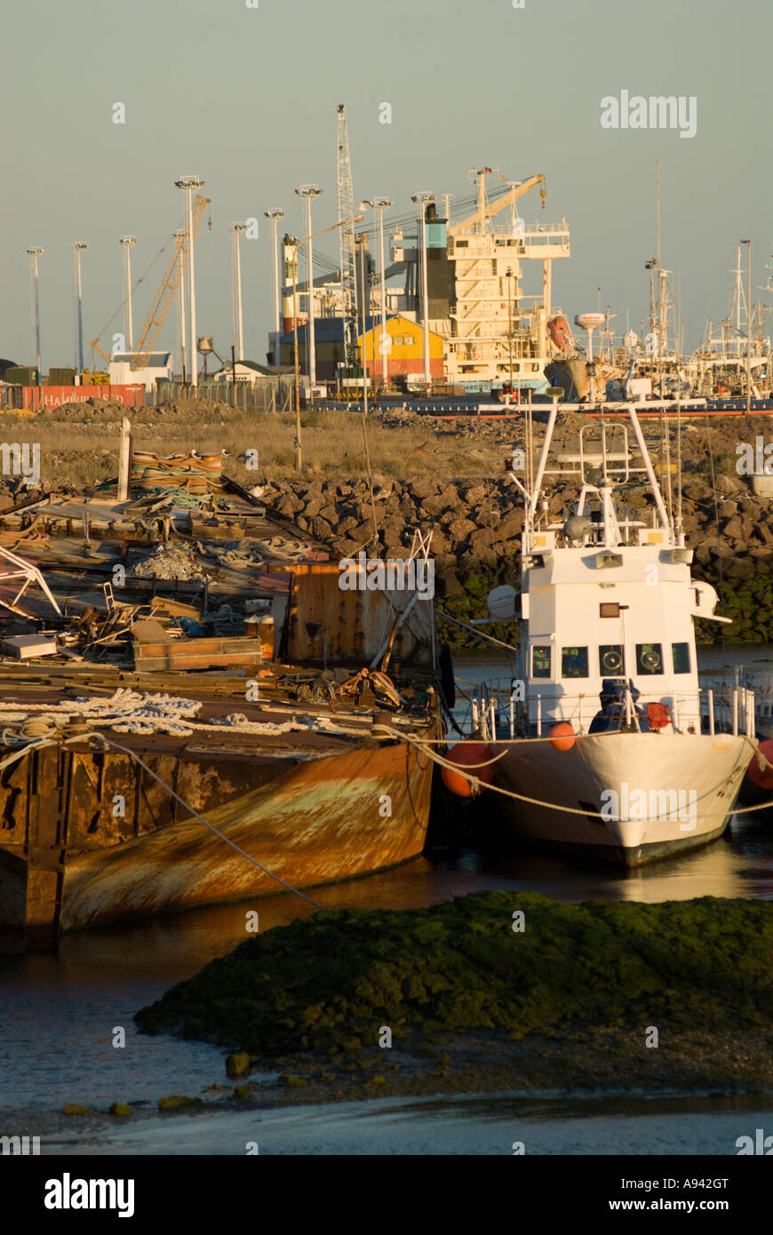 Port de Puerto Deseado, Patagonie, Santa Cruz, Argentine Banque D'Images