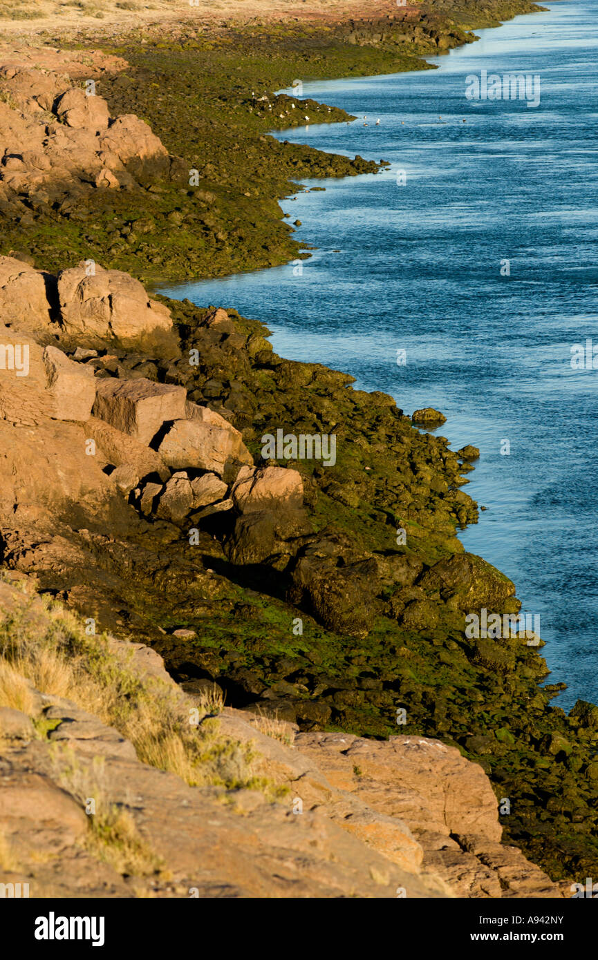 Ria Puerto Deseado, Patagonie, Province de Santa Cruz, Argentine Banque D'Images