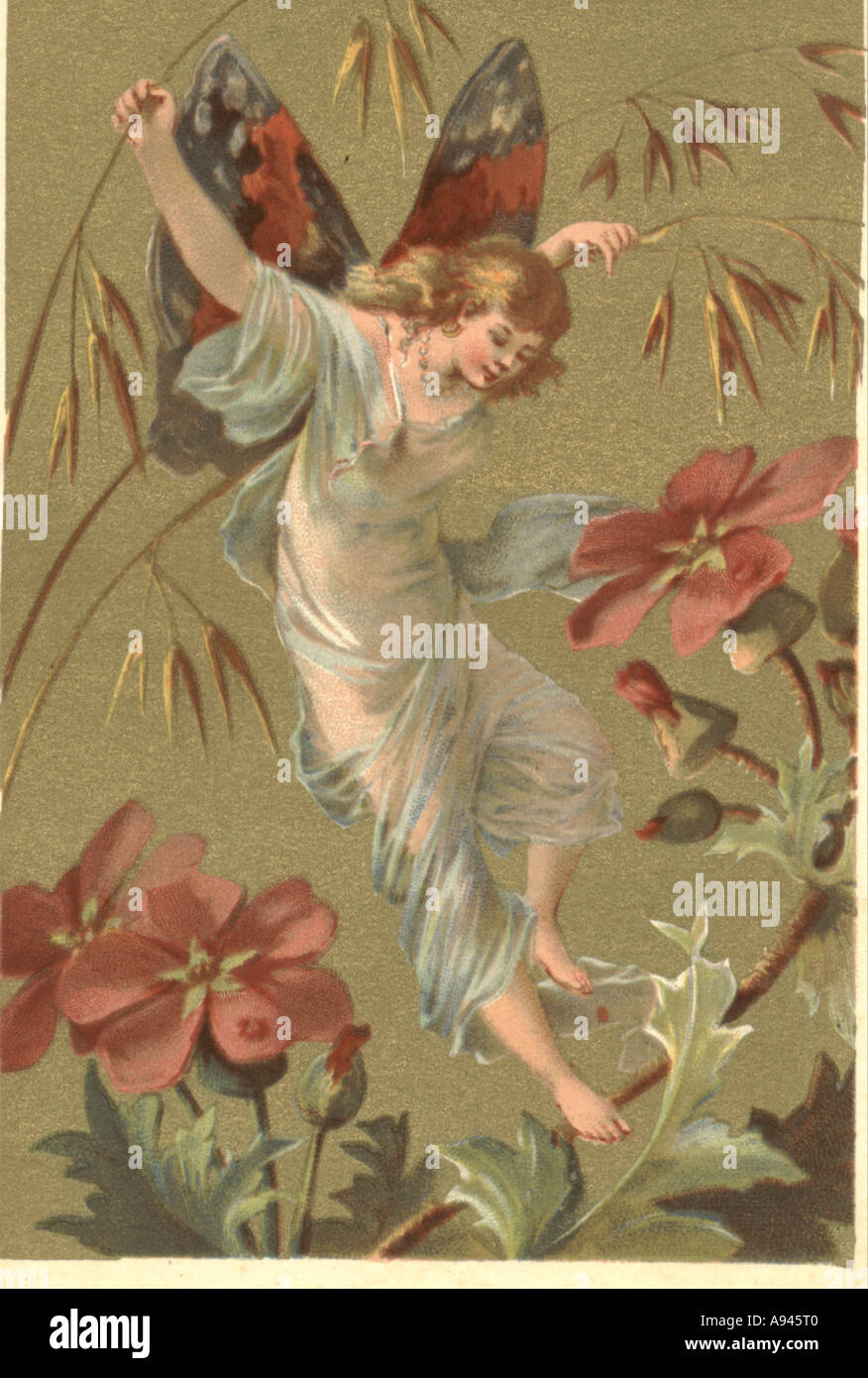 Le papillon, le commerce français card vers 1890 Banque D'Images