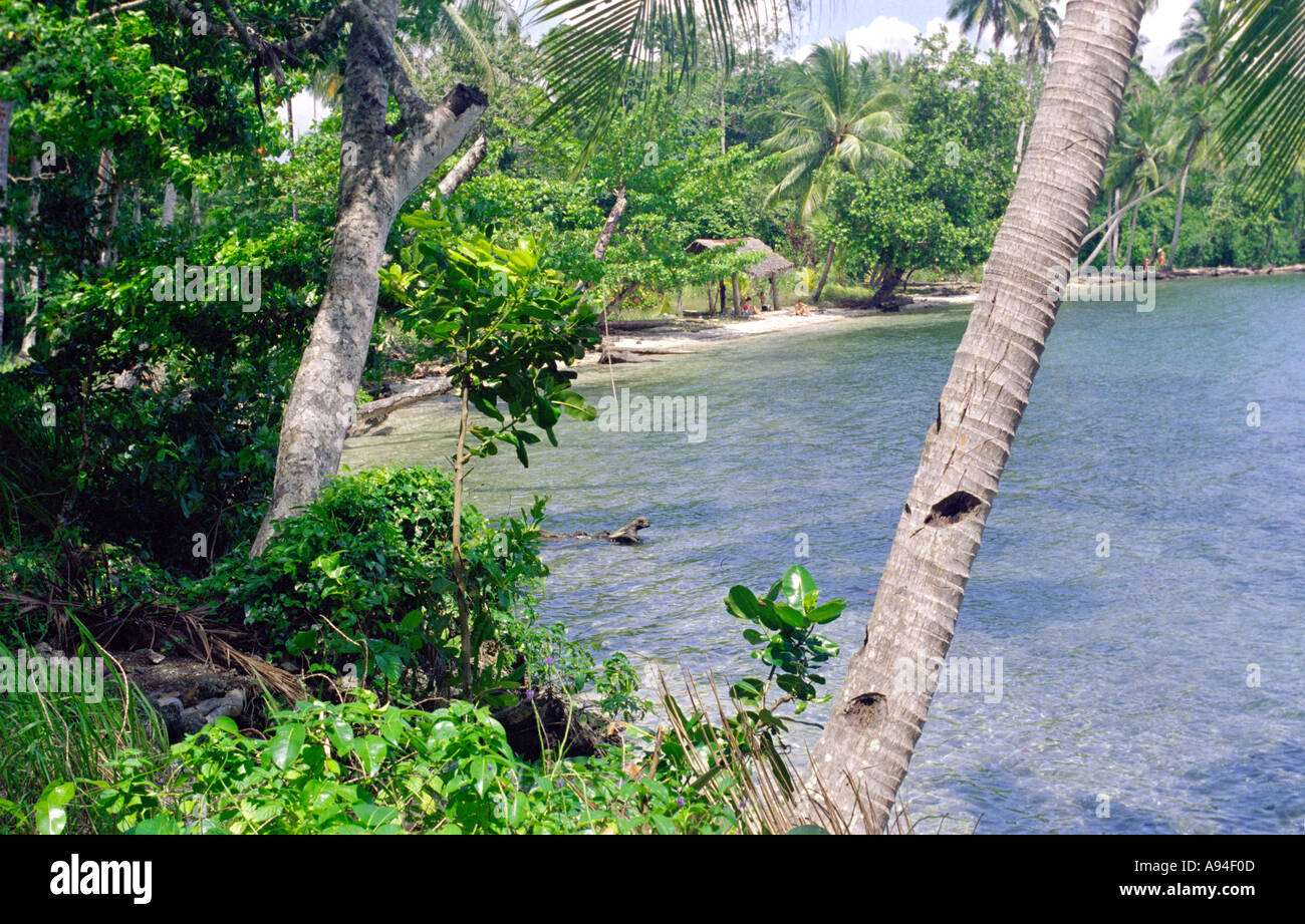 Beach Province de Madang Papouasie-Nouvelle-Guinée Banque D'Images