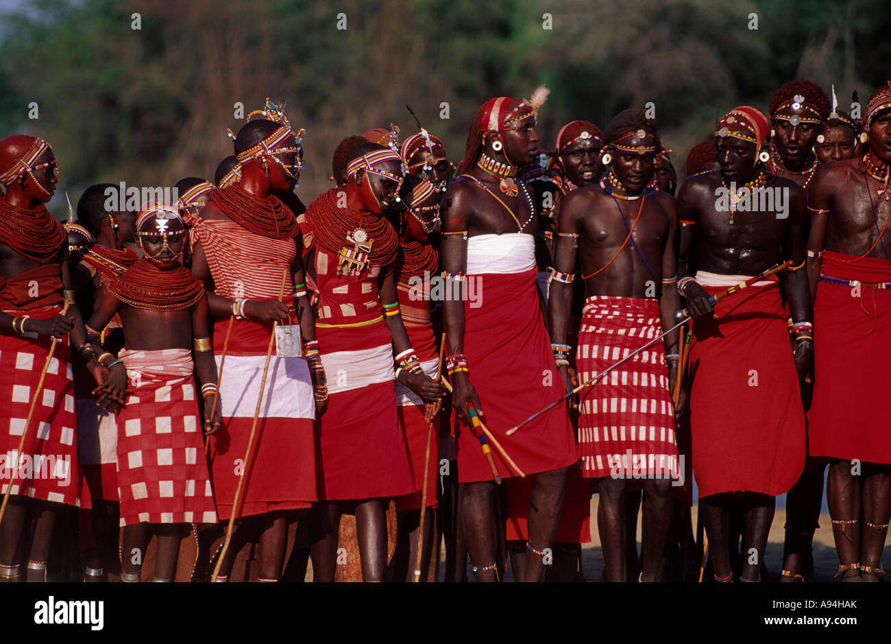 Une rangée d'hommes massaï et les garçons en robe rouge et blanc traditionnel de la préparation pour une cérémonie au Kenya Banque D'Images