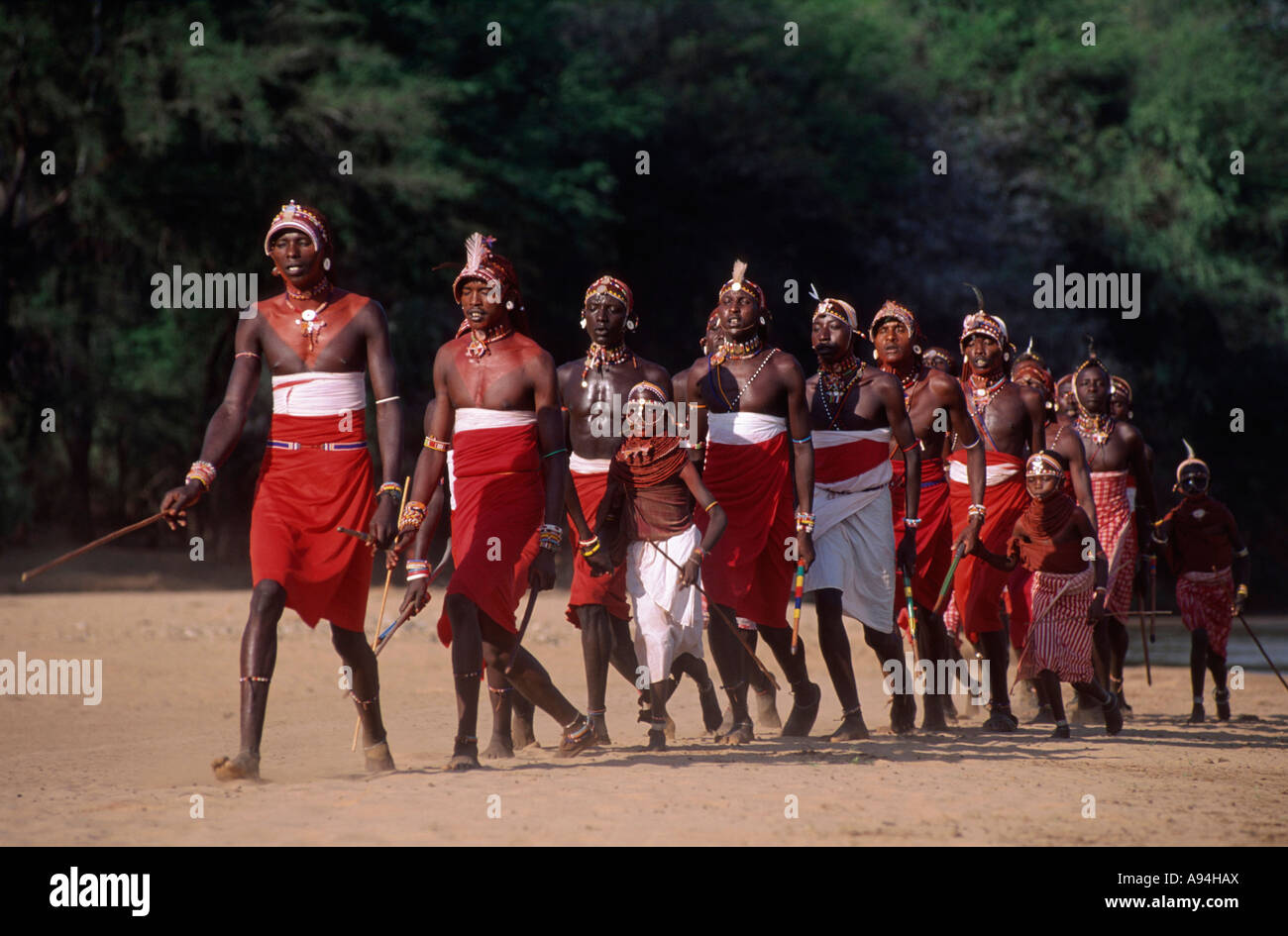 Les hommes et les garçons massaï défilant dans une danse de cérémonie marche dans une longue ligne au Kenya Banque D'Images