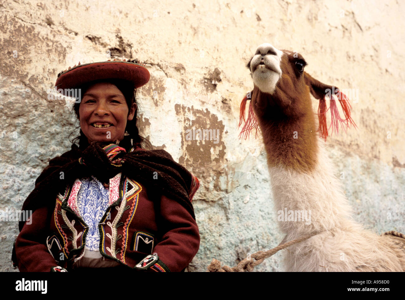 Femme Quechua et de lamas Banque D'Images