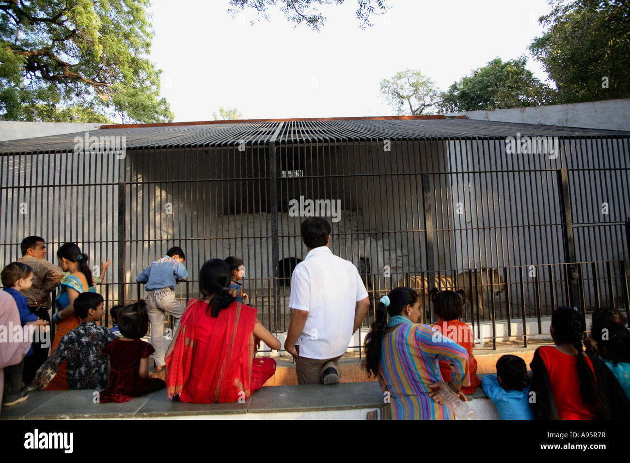 Touristes indiens visitant la cage du lion à Sayaji Baug Zoo, Vadodara, Gujarat, Inde Banque D'Images