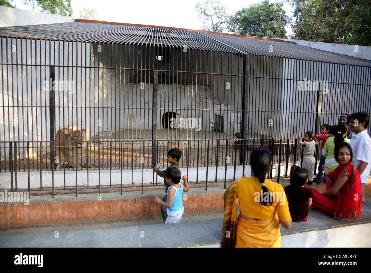 Les touristes indiens regardant les lioness cage à Sayaji Baug Zoo, Vadodara, Gujarat, Inde Banque D'Images