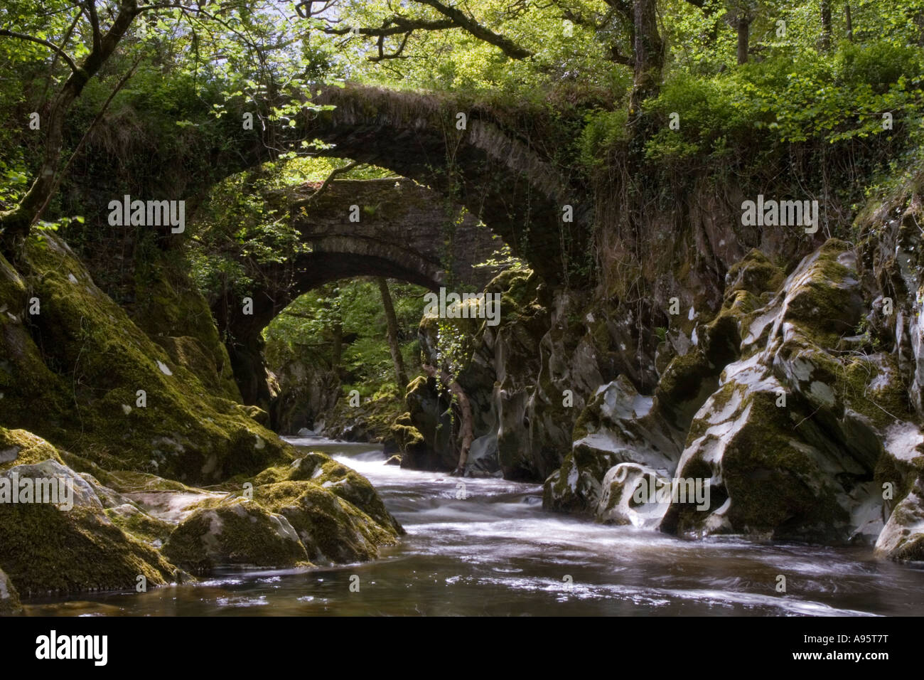 Scène paisible de le courant rapide de la rivière Conwy sous un pont à l'extérieur de Penmachno pack horse, Betws-Y-Coed Banque D'Images