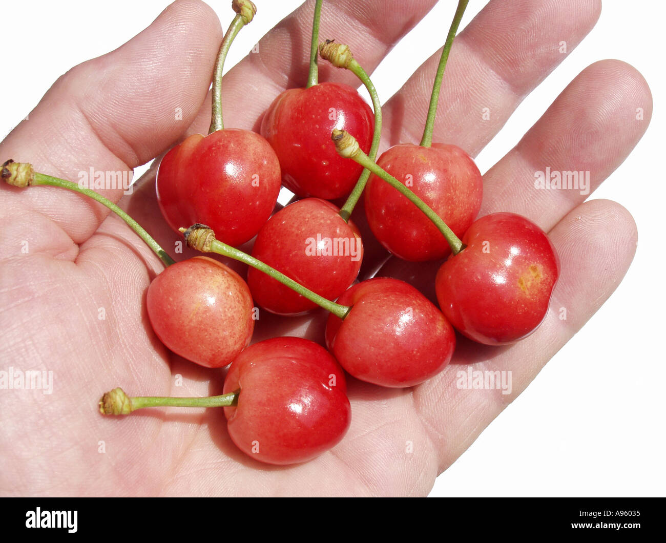 Cerises sur part Banque D'Images