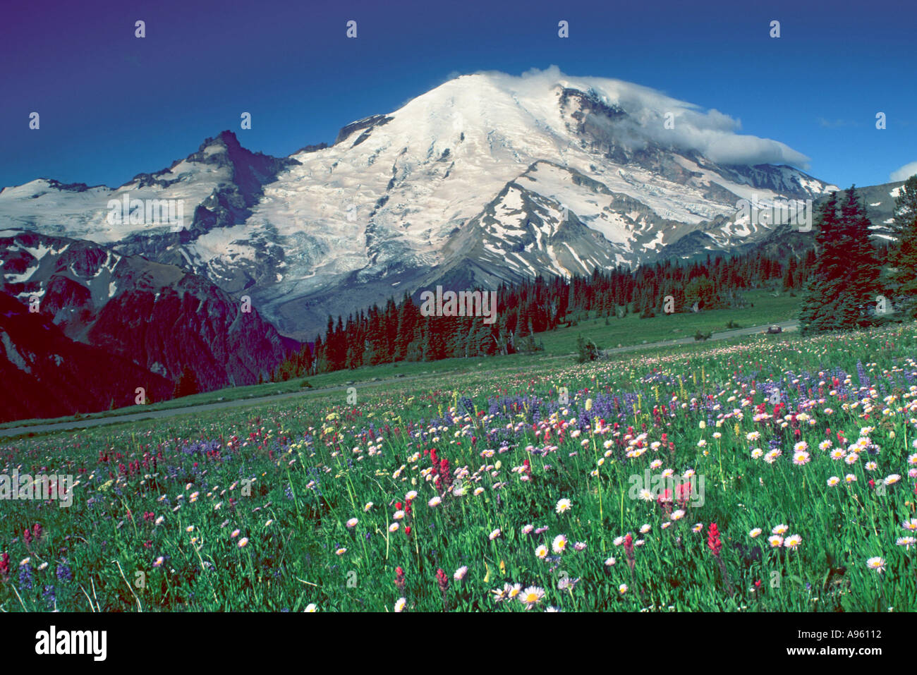 Mt Rainier au-dessus de l'aube Meadows Banque D'Images