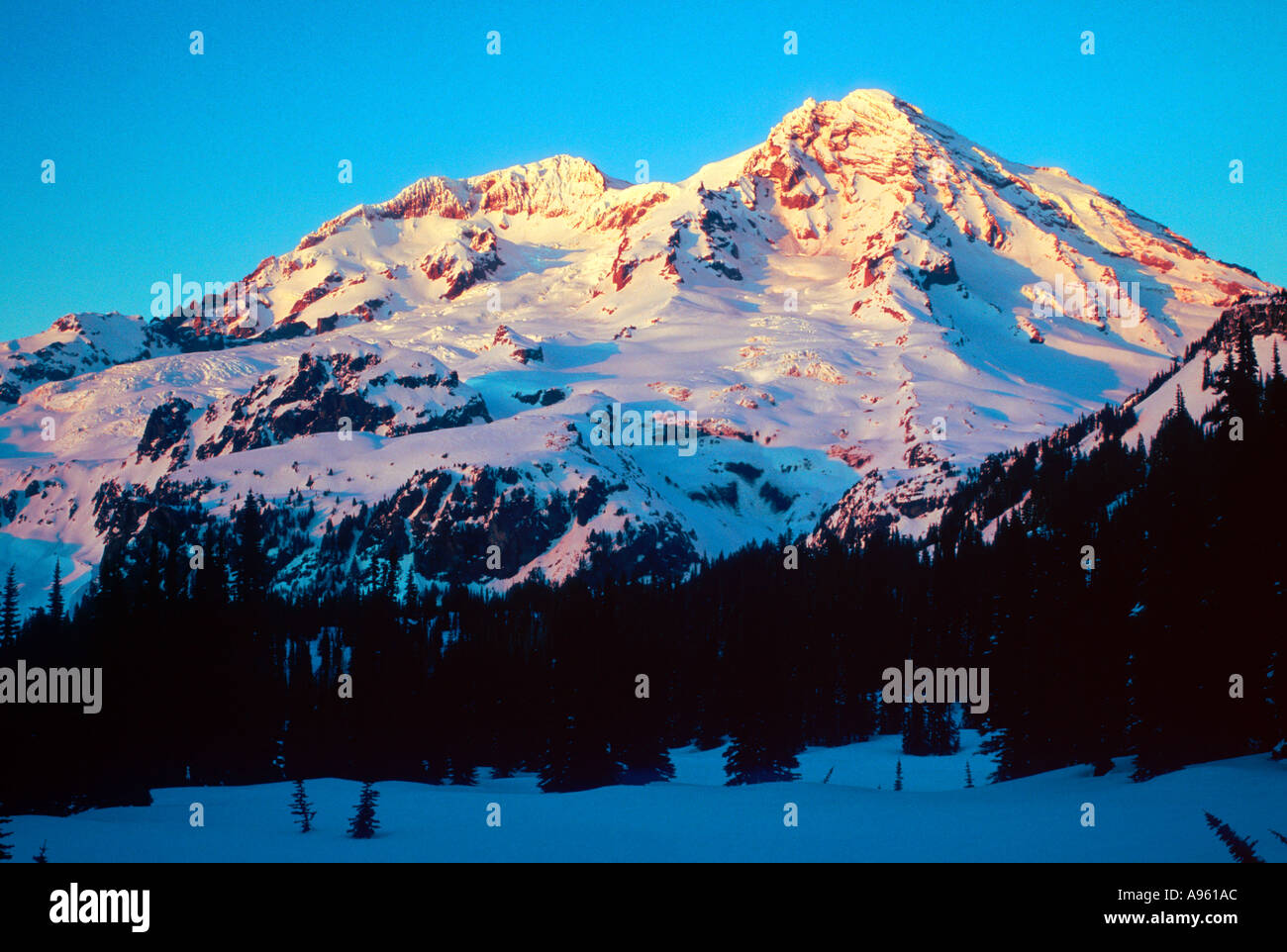 Mt Rainier en hiver Banque D'Images
