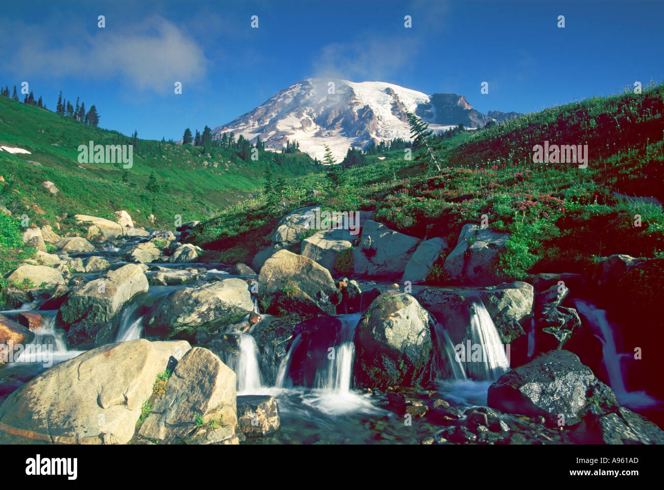 Mt Rainier au-dessus du ruisseau Edith Banque D'Images