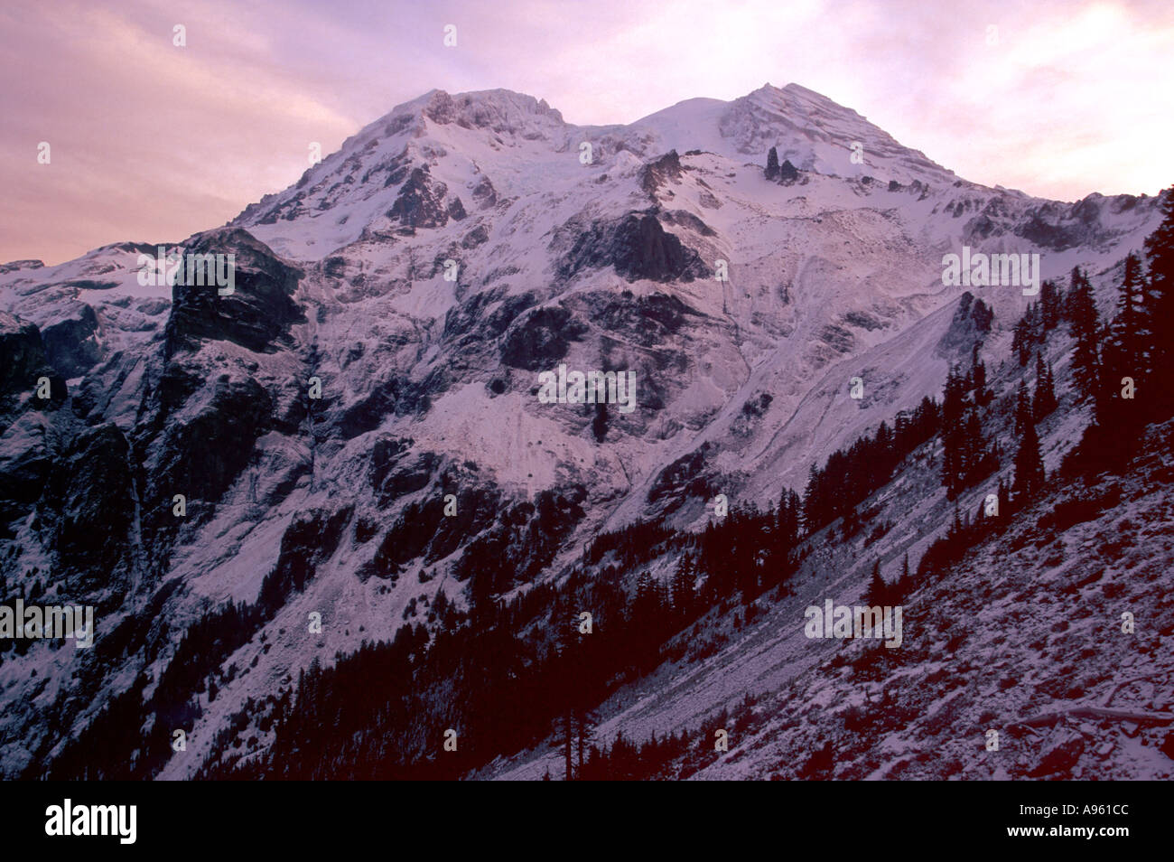 MT Rainier Banque D'Images