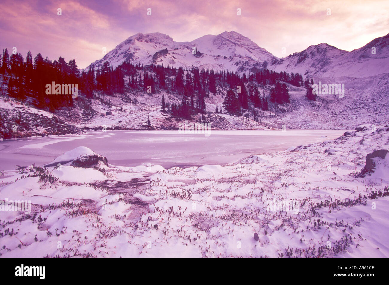 Mt Rainier au dessus de St Andrews Lake Banque D'Images