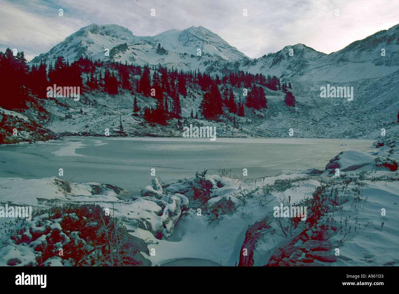 Mt Rainier au dessus de St Andrews Lake Banque D'Images