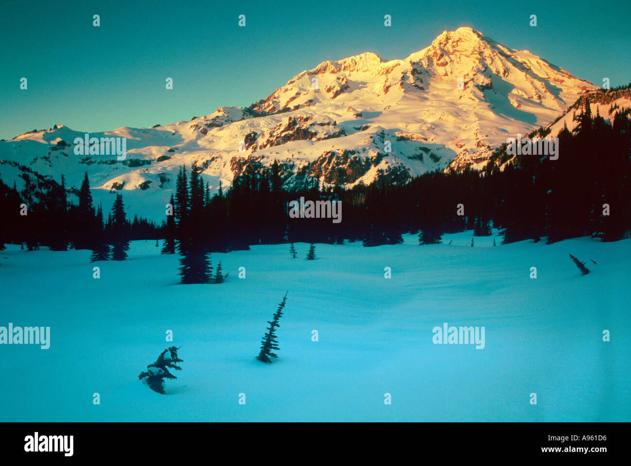 Mt Rainier en hiver Banque D'Images