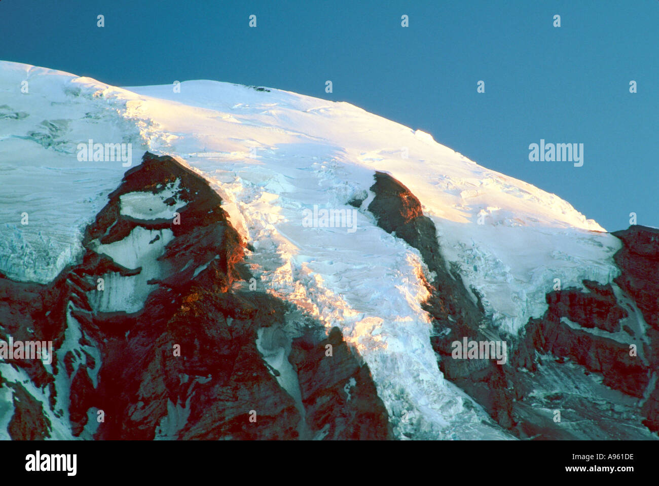 MT Rainier Banque D'Images