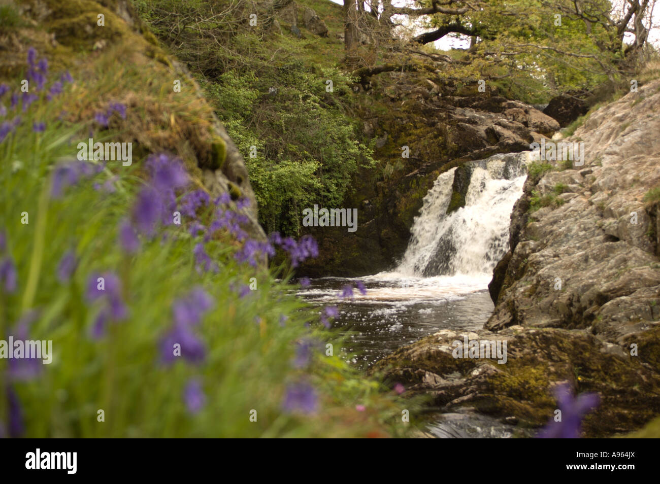 Beezley Falls, rivière Doe, Ingleton, Yorkshire Dales Banque D'Images