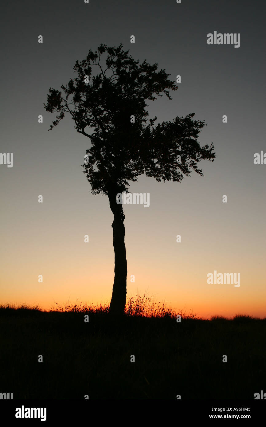 'Les clées moore ,Darwen Lancashire, Angleterre. Sunset' Banque D'Images