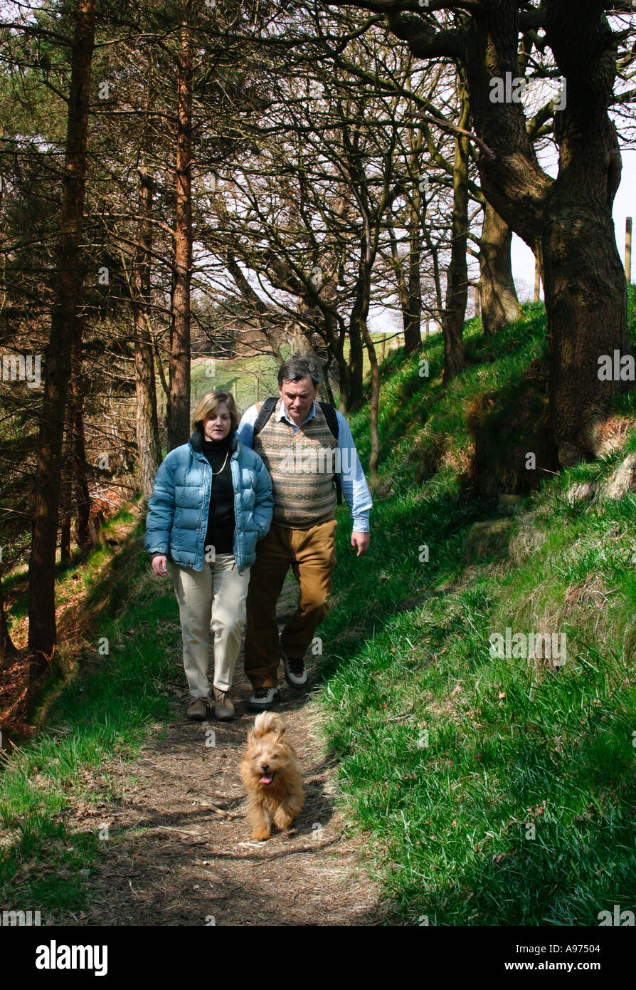 Couple d'âge moyen en se promenant dans les bois avec un petit yorkshire terrier de Norfolk en Angleterre près de Hebden Bridge Banque D'Images