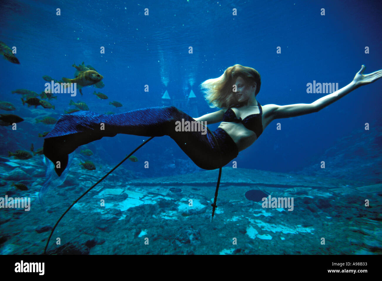 Weeki Wachee Springs, Floride, Weeki Wachee Springs, Mermaid show Banque D'Images