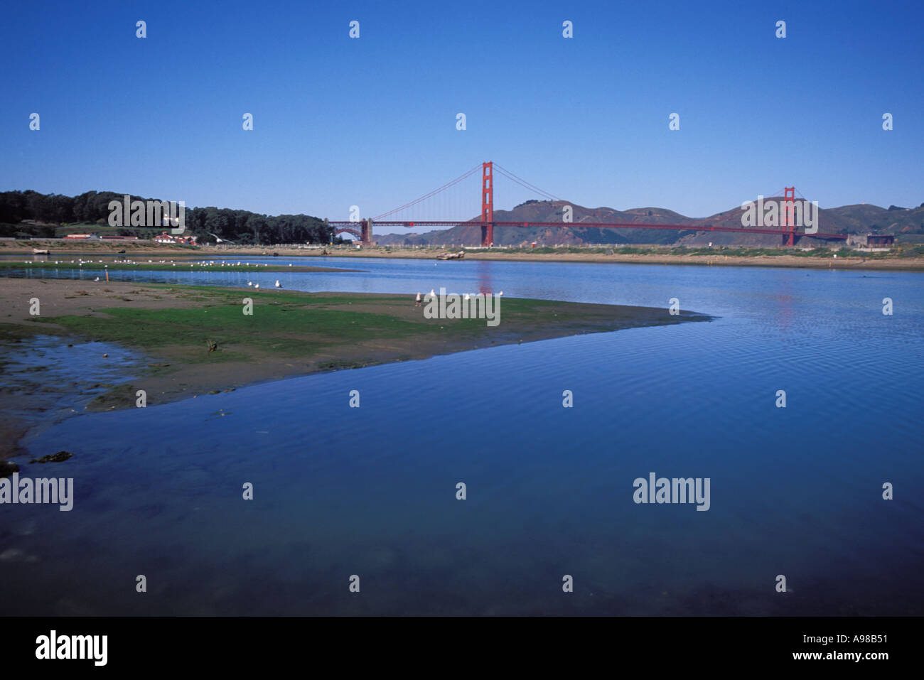 La Californie, San Francisco, GGNRA, raz de marais, Crissy Field Banque D'Images