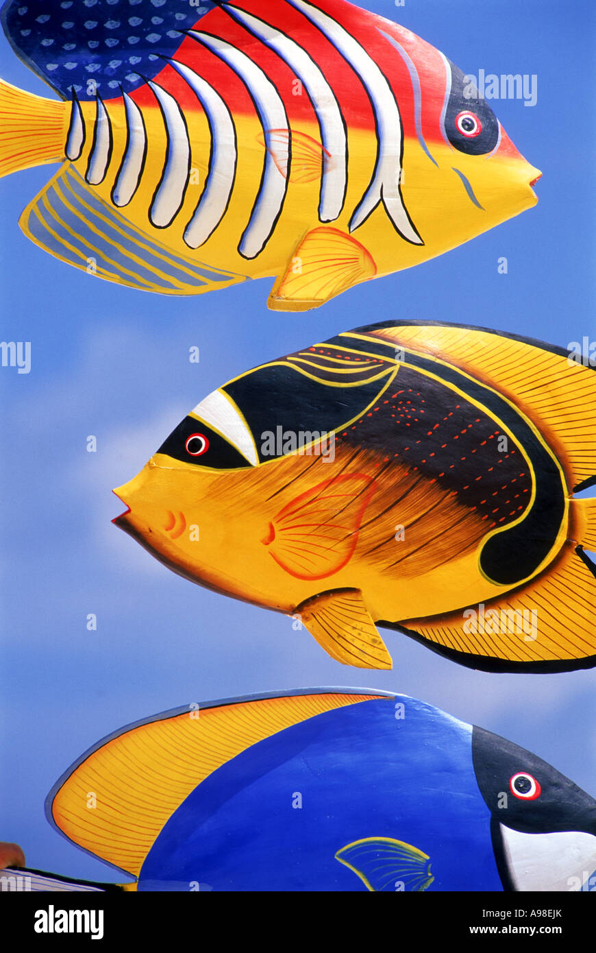 Stickers poissons tropicaux colorés, illustrations de plaques d