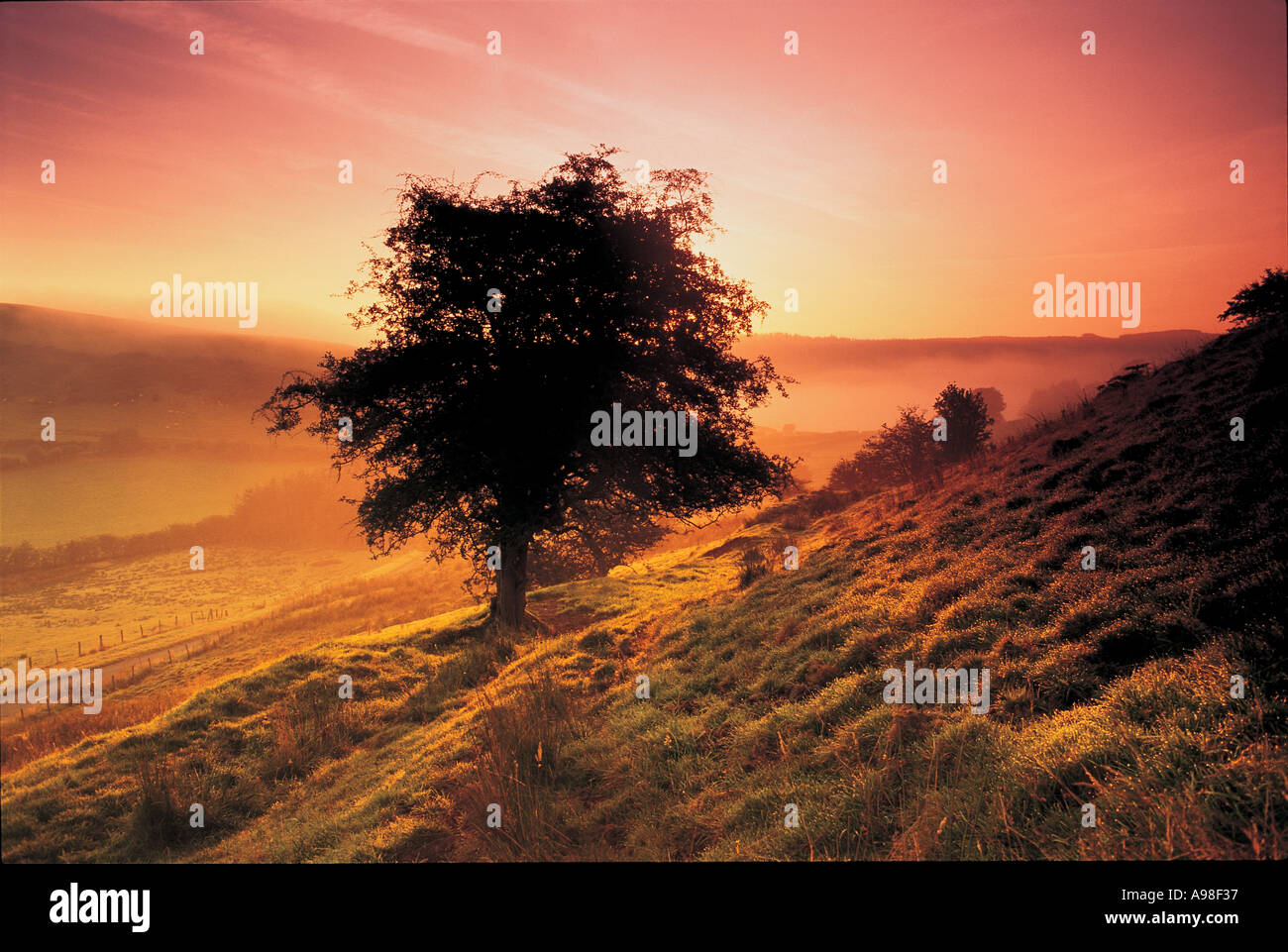 Coucher du soleil au Pays de Galles, Royaume-Uni Banque D'Images