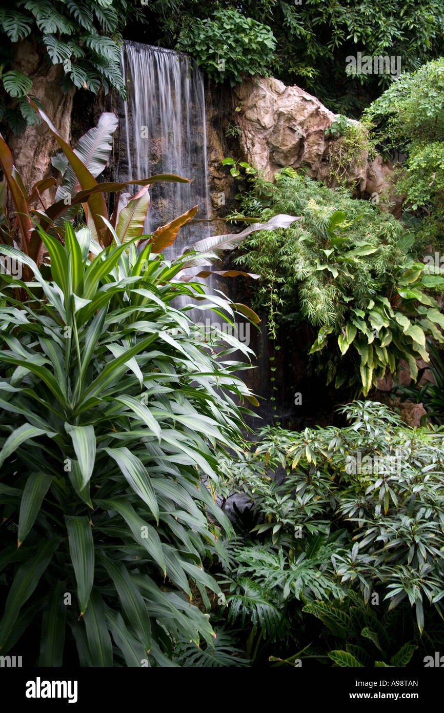 Beau jardin d'ornement Jardin Botanique thaïlandais basé à l'hôtel Dusit Resort à Pattaya, Thaïlande du sud Banque D'Images