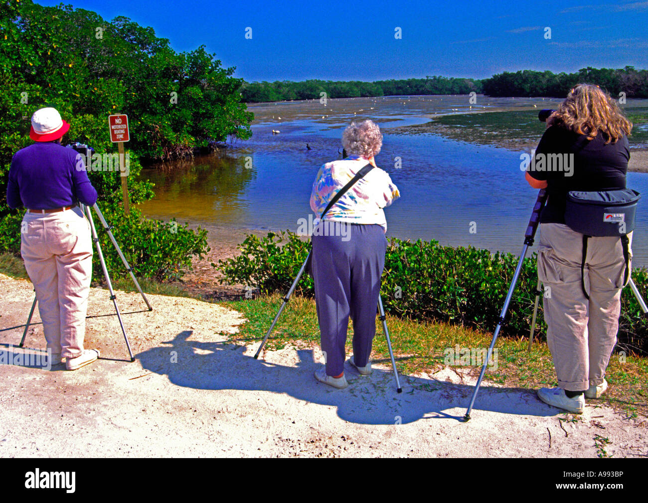 Dame photographes de l'Ding Darling Wildlife Refuge en Floride Banque D'Images