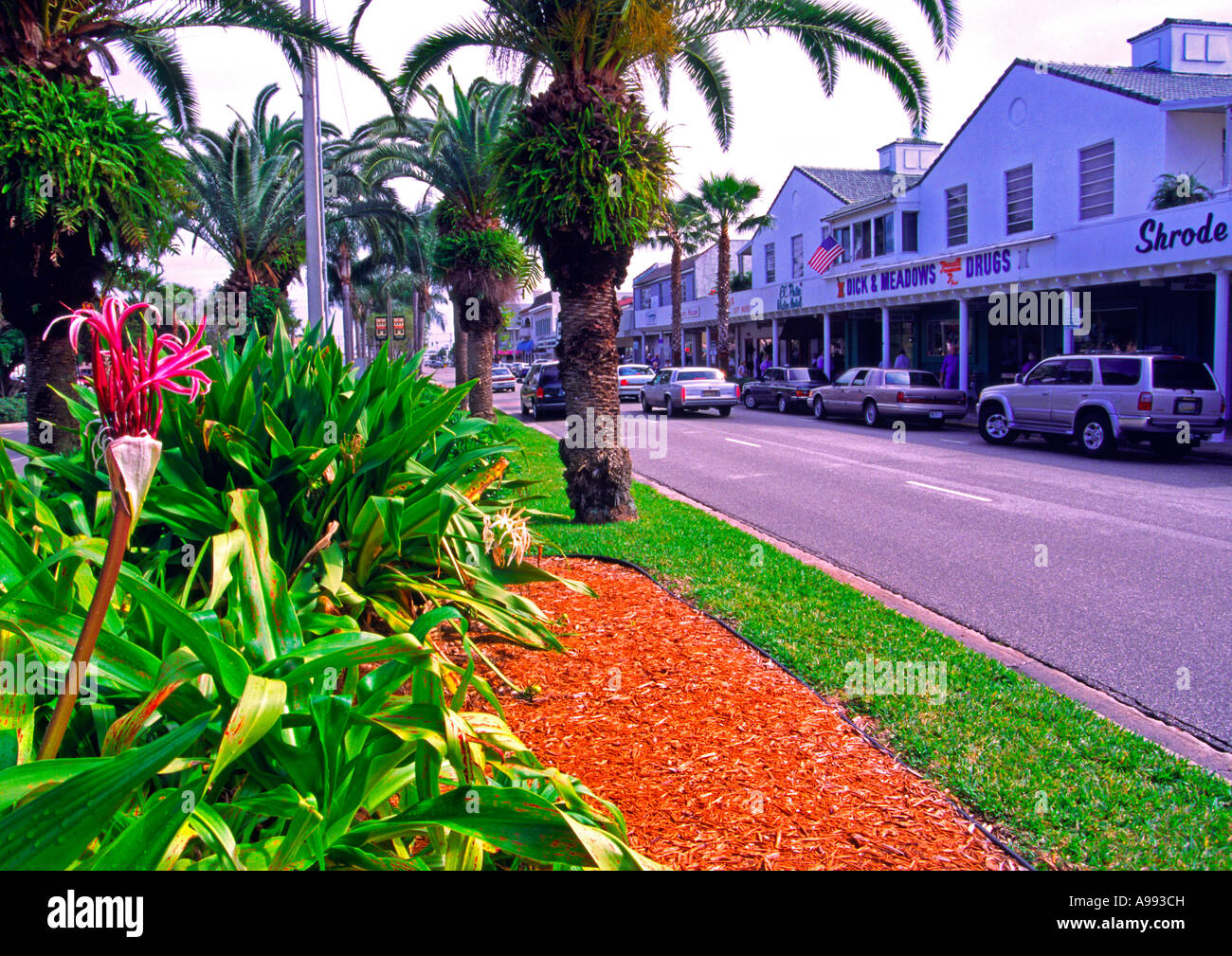 Avenue de Venise Venise Floride USA Banque D'Images