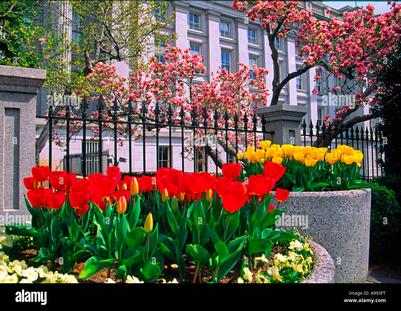 Le département du Trésor américain au printemps à Washington DC USA Banque D'Images