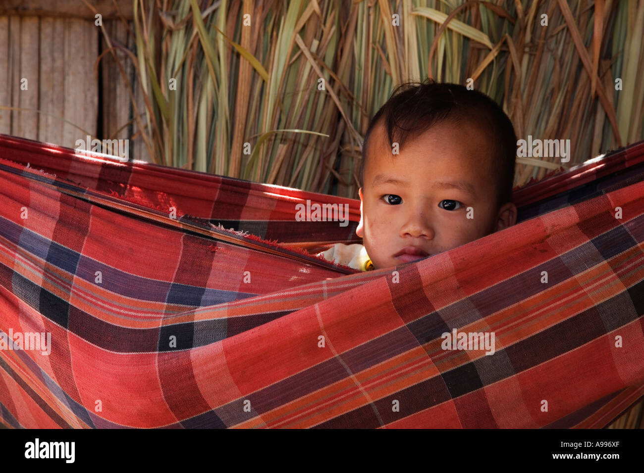 Tribe hammock Banque de photographies et d'images à haute résolution - Alamy