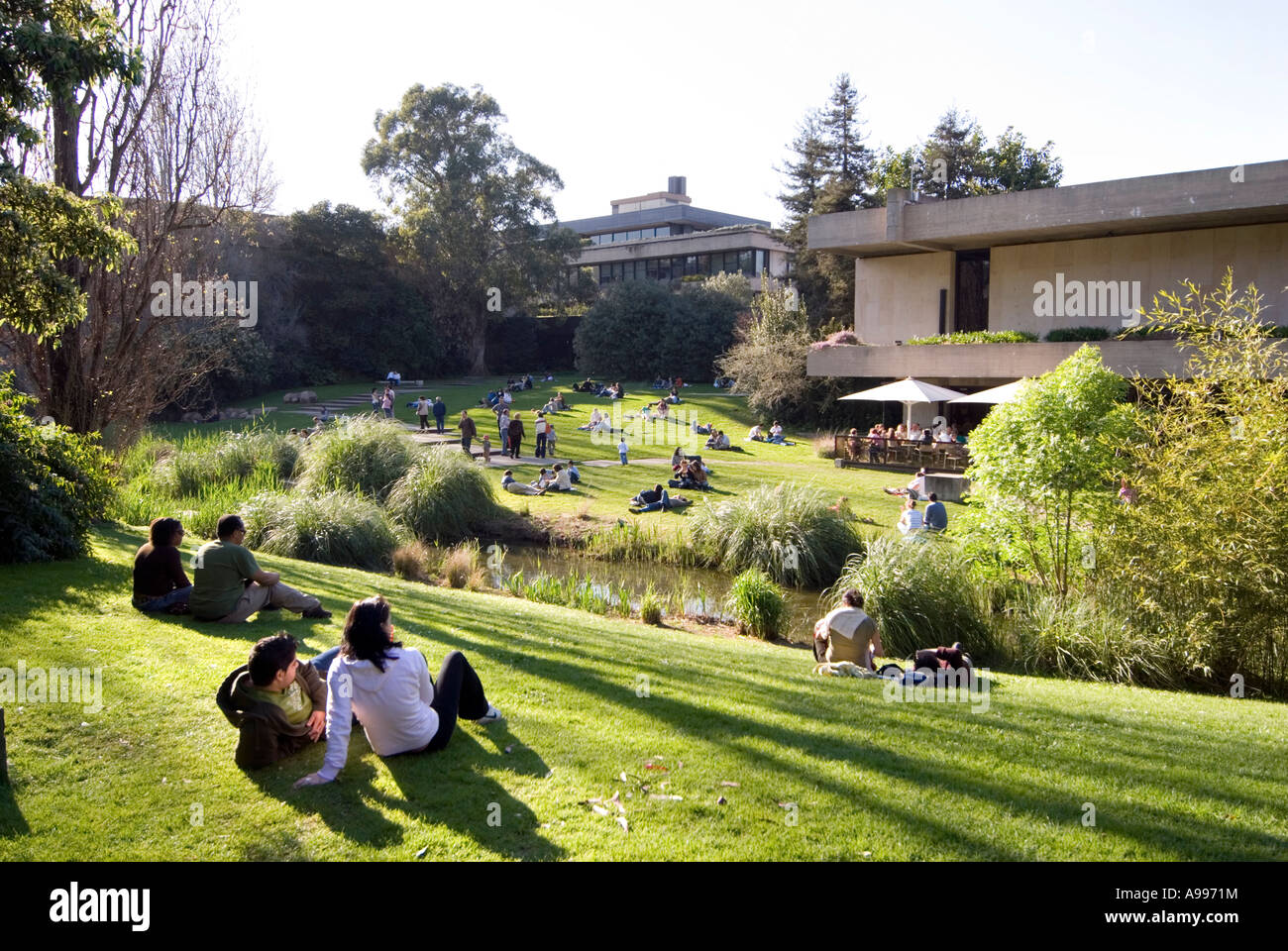 Fondation Calouste Gulbenkian Garden Banque De Photographies Et D fondation-calouste-gulbenkian-garden-banque-de-photographies-et-d