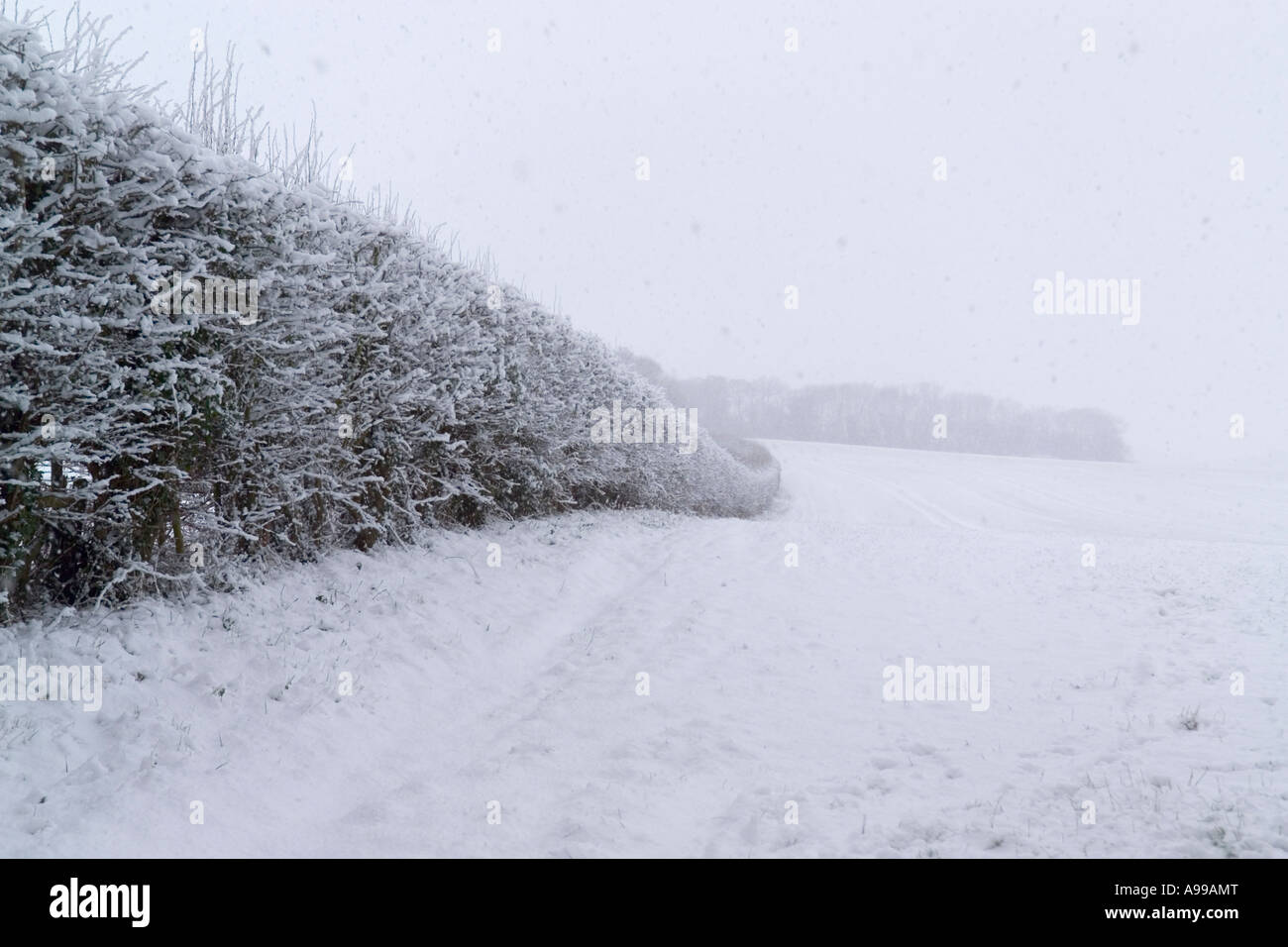 Campagne du Kent près de Meopham dans la neige de l'hiver Banque D'Images