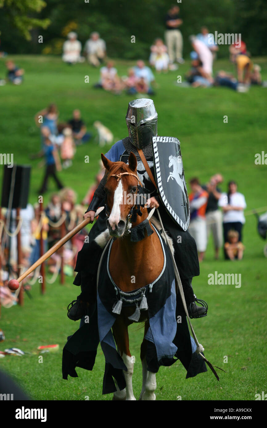 Combat du cavalier sur un tournoi Banque D'Images