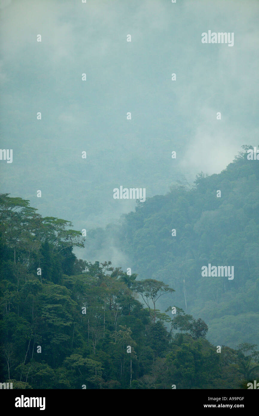 Misty rainforest près de Cana dans le parc national de Darien, province de Darién, République du Panama. Banque D'Images
