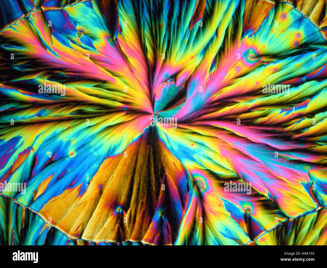 Les cristaux de la dopamine à partir de 5.2.11 remplir pour solution aqueuse Banque D'Images Les cristaux de la dopamine à partir de 5.2.11 remplir pour solution aqueuse Banque D'Images