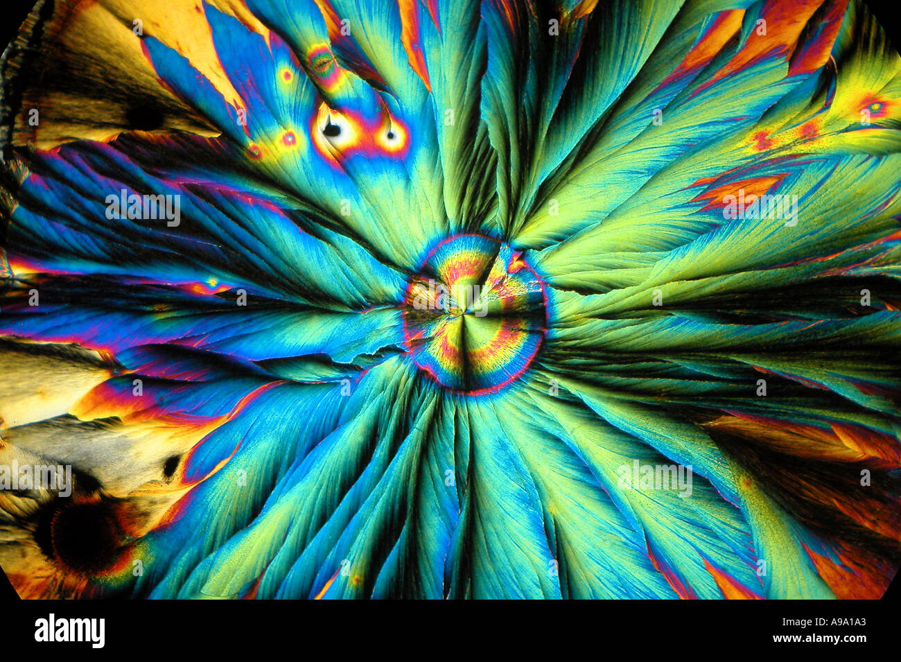 Les cristaux du 6 hydroxy dopamine de solution aqueuse traversé polars Banque D'Images Les cristaux du 6 hydroxy dopamine de solution aqueuse traversé polars Banque D'Images