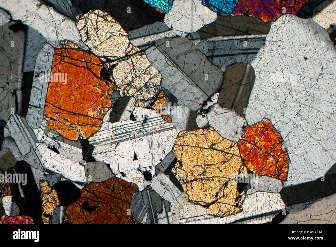 Troctolite sol section fine montrant les cristaux de la labradorite et 5.2.11 Remplir l'olivine Banque D'Images