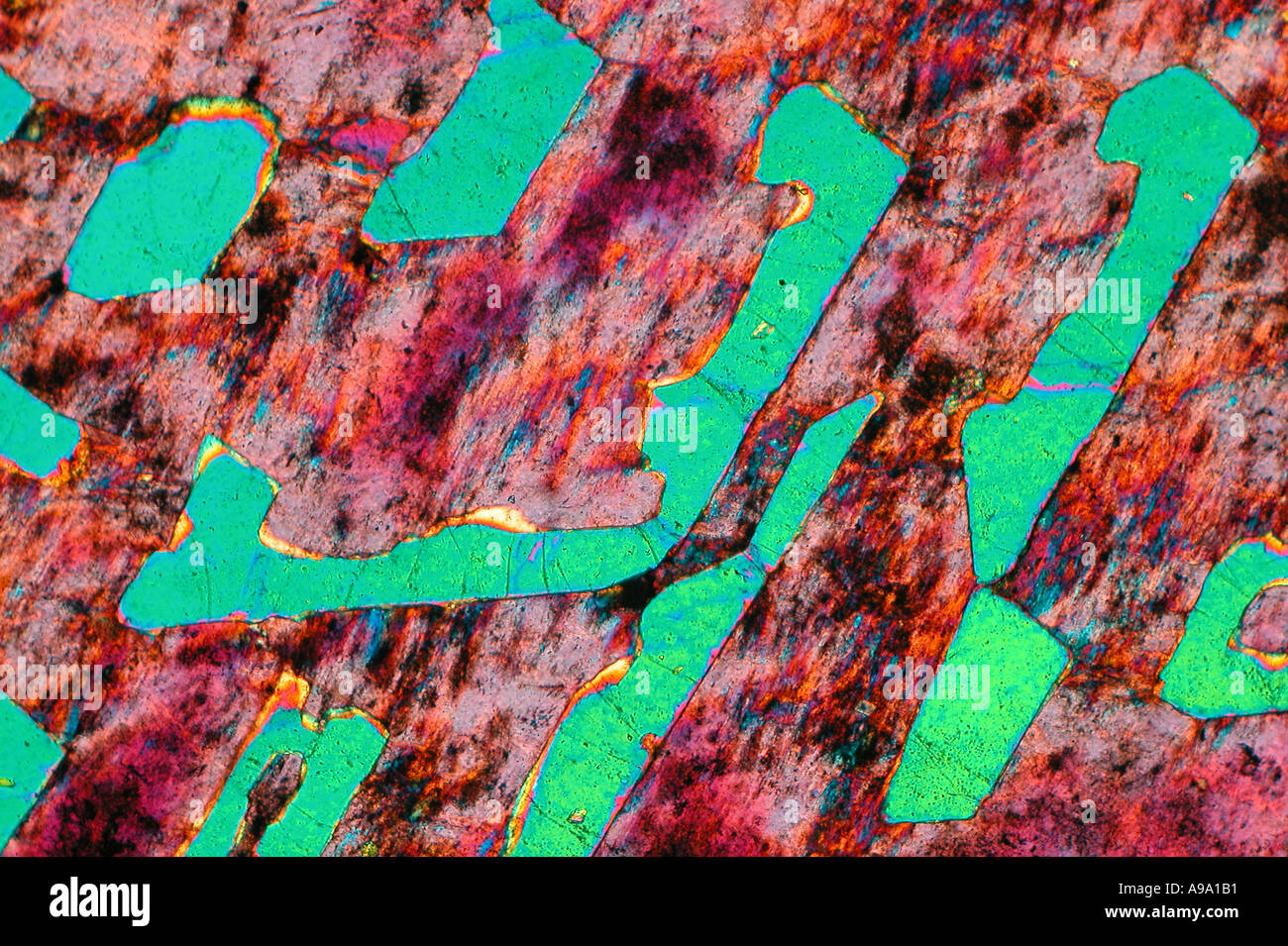 Granit graphique est composé de cristaux de quartz grossier et microcline qui se combinent pour former des caractères runiques traversé polars Banque D'Images Granit graphique est composé de cristaux de quartz grossier et microcline qui se combinent pour former des caractères runiques traversé polars Banque D'Images