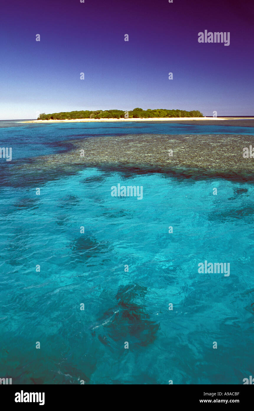 Queensland Australie Grande Barrière de Corail Lady Musgrave Island Banque D'Images