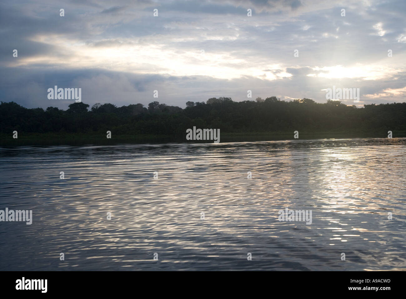 Lac Anangucocha à l'aube, dans le Parc national Yasuni, en Equateur Banque D'Images