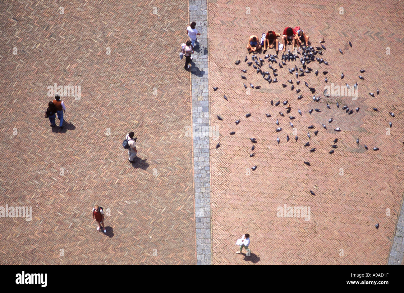 Regarder les touristes comme des fourmis de la Magia Tower Sienne Italie Banque D'Images
